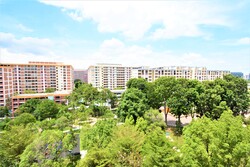 Blk 856 Tampines Street 82 (Tampines), HDB 5 Rooms #383694201
